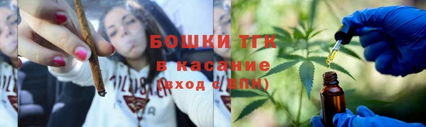 spice Богородск