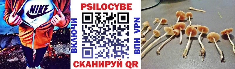 где купить наркоту  Йошкар-Ола  Псилоцибиновые грибы прущие грибы 